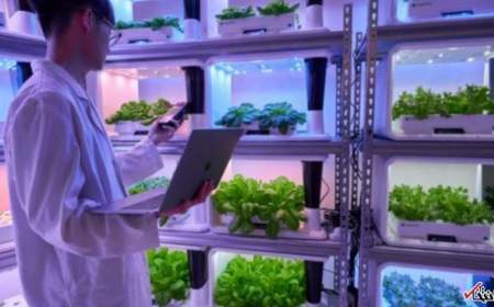 رشد باغ‌های گیاهی سرپوشیده هوشمند در هنگ کنگ