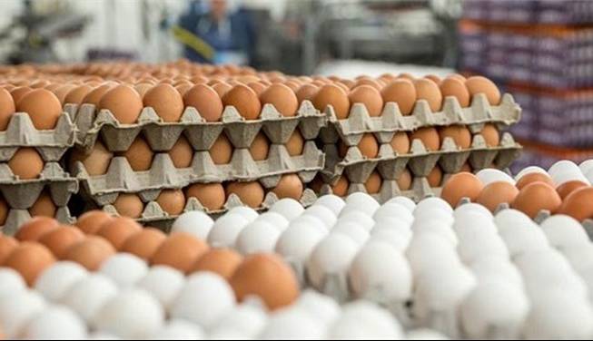 سود اختلاف قیمت تخم‌مرغ در بازار به جیب چه کسانی می رود؟