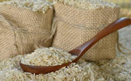 معاون وزیر کشاورزی: افزایش 250 درصدی قیمت برنج را تکذیب می‌کنم
