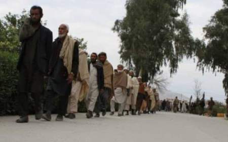 طالبان: ۵۰ عضو داعش در افغانستان تسلیم شدند