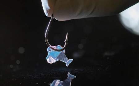 تولید ماهی رباتیکی که با سلول‌های قلب انسان شنا می‌کند!