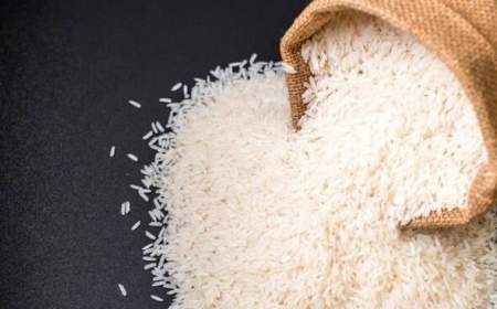 افزایش ۳۷ درصدی واردات برنج در سال جاری