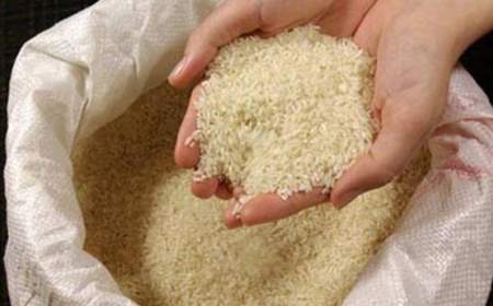 از بازار «برنج» چه خبر؟