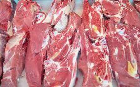 برنامه دولت برای واردات 10 هزار تن گوشت قرمز