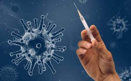 تزریق نوبت چهارم واکسن کرونا تصویب شد