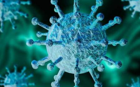 سروکله دومین ویروس ترکیبی کرونا با قابلیت انتقال بیشتر پیدا شد