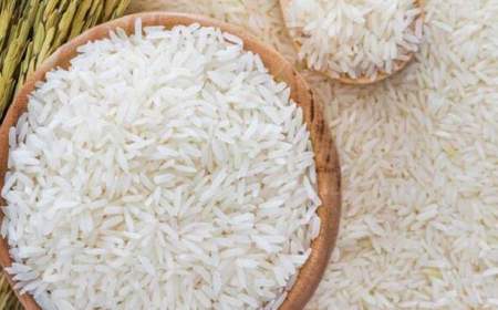 وزارت جهاد کشاورزی: محتکران عامل گرانی برنج ایرانی