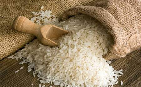 برنج جدید با قیمت مناسب در راه است؛ مردم برنج کهنه نخرند