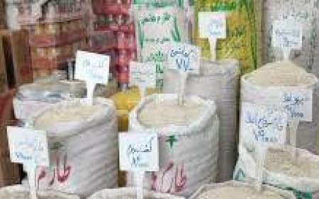 قیمت واقعی برنج ایرانی اعلام شد/ متهم جدید طغیان قیمت برنج در بازار را بشناسید