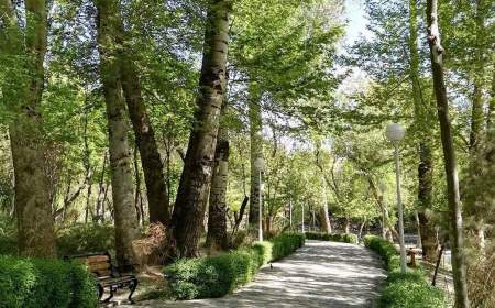 صدور سند مالکیت رسمی برای پارک جنگلی ارومیه