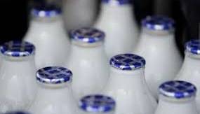 آیا شیرهای مدت‌دار دارای مواد نگهدارنده هستند؟