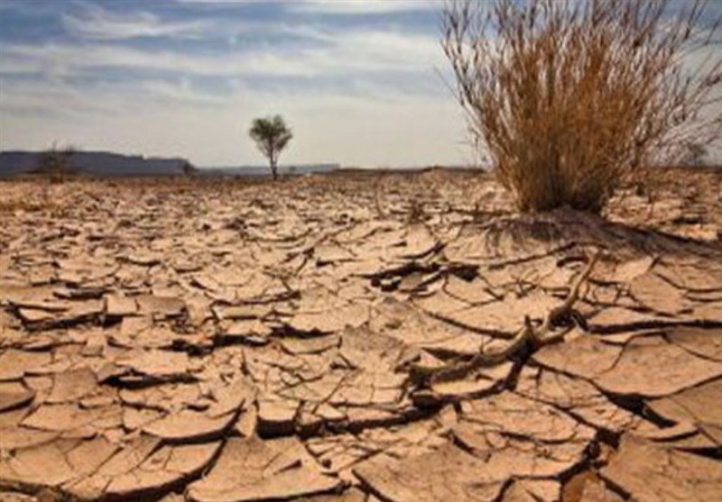 هشدار رئیس سازمان جنگل‌ها درباره فرسایش خاک