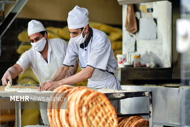 مشاور وزیر اقتصاد: زیرساخت نانوایی‌های سراسرکشور تا ۴۵ روز آینده تجهیز می شوند