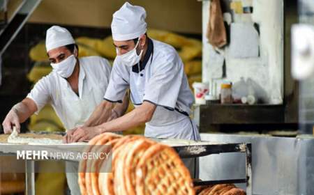 مشاور وزیر اقتصاد: زیرساخت نانوایی‌های سراسرکشور تا ۴۵ روز آینده تجهیز می شوند