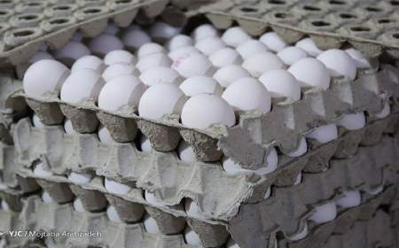 کاهش قیمت تخم‌مرغ به ٢٧ هزار تومان