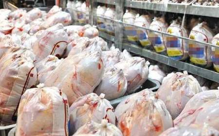 خرید تضمینی مرغ با قیمت مصوب تا هفته آینده