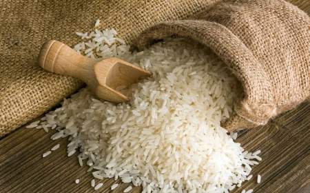 پیش بینی واردات یک میلیون و ۳۰۰ هزار تن برنج تا پایان سال