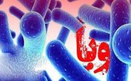 تعداد مبتلایان به وبا در کردستان به ۳۰ نفر رسید