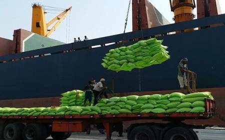 ثبت رکورد تخلیه روزانه چهار هزار تن برنج از کشتی در بندر بوشهر