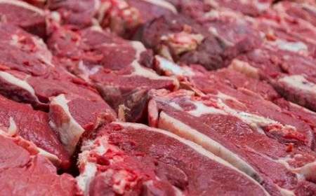 رئیس اتحادیه گوشت: دام کیلویی ۸۰ هزار تومان را کسی نمی‌خرد