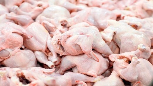 قیمت جدید گوشت مرغ اعلام شد/ صدیق‌پور: مرغ ۳۵ هزار تومانی مشتری ندارد