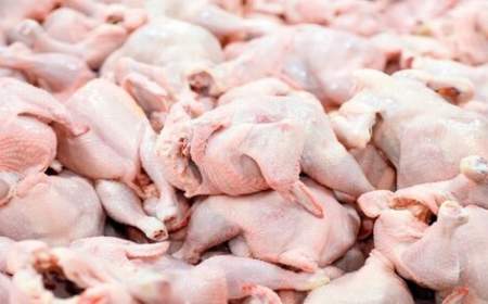 قیمت جدید گوشت مرغ اعلام شد/ صدیق‌پور: مرغ ۳۵ هزار تومانی مشتری ندارد