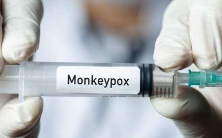 آخرین آمار مبتلایان آبله میمون در جهان