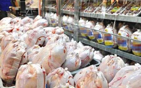 قیمت مرغ همچنان کمتر از نرخ مصوب