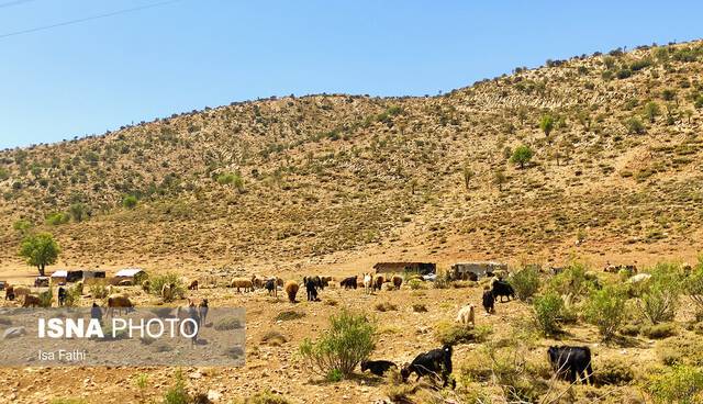 خسارت ۲۰ میلیاردی به عشایر در سیل استان تهران