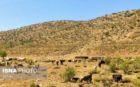 خسارت ۲۰ میلیاردی به عشایر در سیل استان تهران