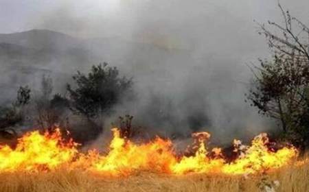 آتش به جان جنگل‌های گچساران افتاد