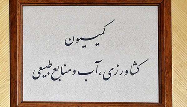 کمیسیون کشاورزی مجلس: ​دستورالعمل کشت فراسرزمینی ابلاغ شده است