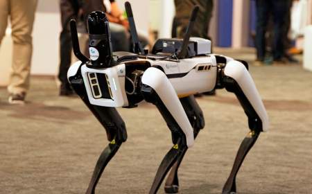 مروری بر ربات‌های کاربردی که با الهام از حیوانات ساخته شده‌اند