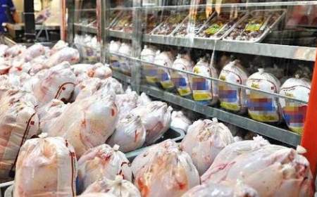 افزایش قیمت مرغ در بازار؛ مصرف مرغ ۲۰ درصد کاهش یافت