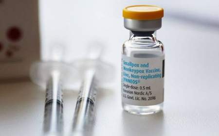 آمریکا مدعی ساخت واکسن موثر برای آبله میمون شد