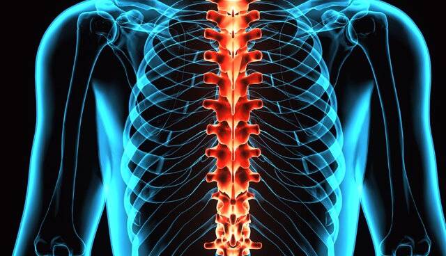 چند توصیه برای مراقبت از ستون فقرات