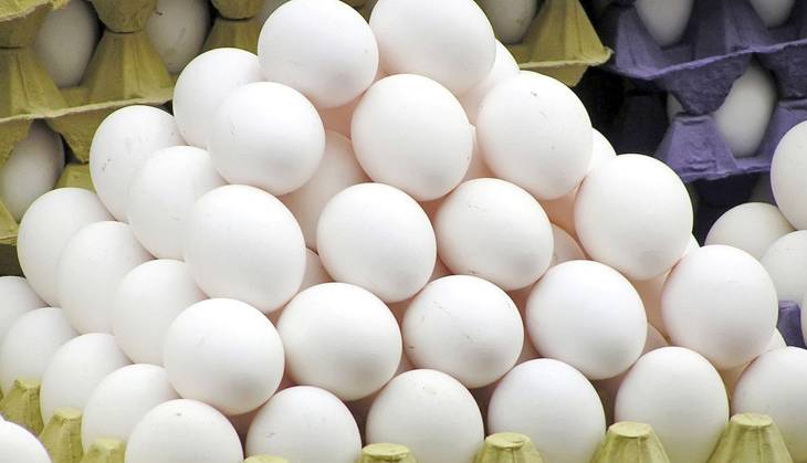 مرغ و تخم مرغ رسما گران می شود؟