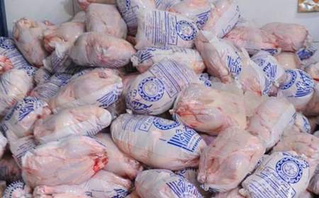آغاز توزیع مرغ منجمد با قیمت ۴۵ هزار تومان