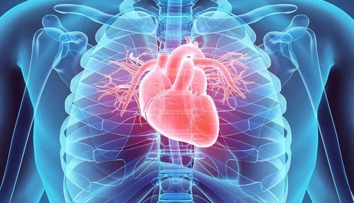 سلامت قلب را چگونه تضمین کنیم؟