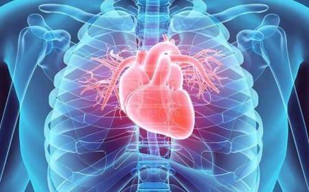 سلامت قلب را چگونه تضمین کنیم؟