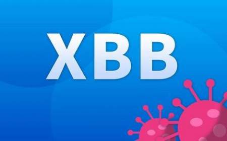 واریانت جدید XBB.1.5 «هم ایمنی‌گریزتر است و هم در انتشار شدیدتر عمل می‌کند»
