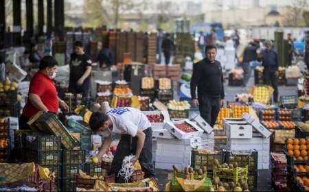 در صورت گران‌فروشی میوه با این شماره تماس بگیرید