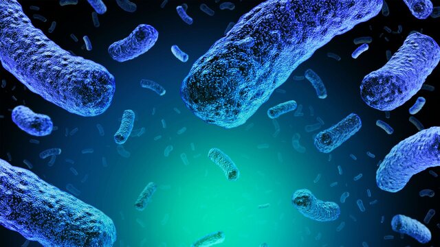 ۵ راهکار طبیعی برای جلوگیری از گسترش عفونت باکتریایی
