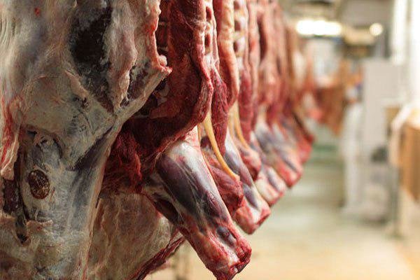 اتفاق عجیب در بازار؛ گوشت قرمز ارزان می شود؟