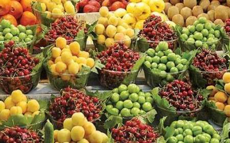 رئیس اتحادیه فروشندگان میوه: قیمت‌ میوه‌های نوبرانه را تایید نمی‌کنیم