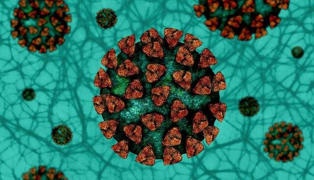 اومیکرون از ویروس‌های آنفلوانزای فصلی کشنده‌تر است
