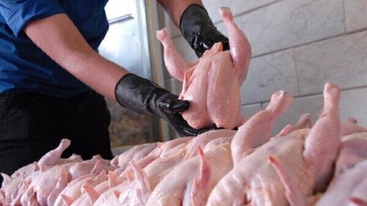 وزارت جهاد کشاورزی: به زودی اصلاح قیمت مرغ اعلام می‌شود