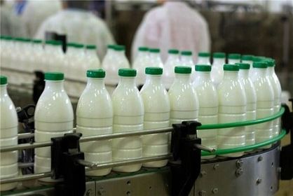 قیمت لبنیات تکان خورد؛ شیر خام چقدر گران می‌شود؟