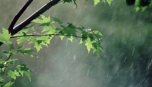 پیش‌بینی بارش‌های مناسب در صورت فعالیت جریان «ال‌نینو» در کشور