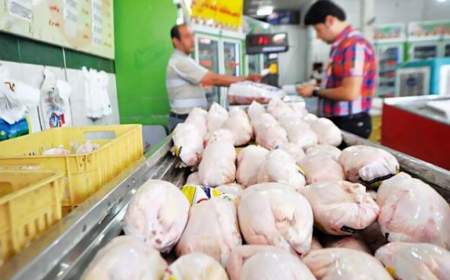 قند و شکر گران شد/ هر کیلو گوشت مرغ به ۸۷ هزار و ۴۰۰ تومان در بازار رسید